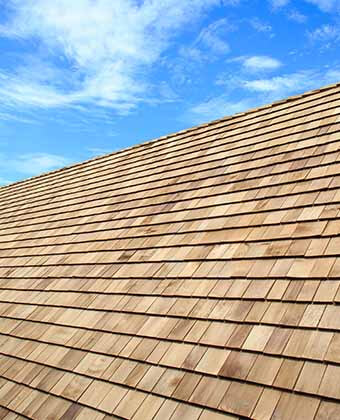 Cedar
